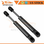 2X Rear Trunk Lift Supports Struts for Volkswagen Beetle Convertible