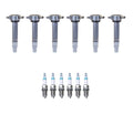 Set of 6 Ignition Coils & 6 Iridium Spark Plugs for Chrysler Dodge