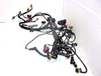 Evinrude Etec Engine Wiring Harness Assy 0587010 AA AB for 135-200hp (2-Stroke)