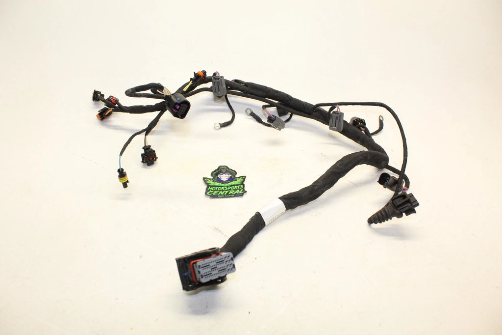 Engine Wire Harness for Sea-Doo GTX GTI GTR RXP RXT 130 155 170 230 300 (1603)