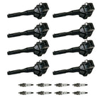 Set of 8 Ignition Coils & Spark Plugs for BMW X5 330 E46 (1994–2005)