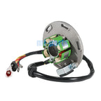 Stator Magneto Generator Coil for TM Racing KOK.END. 2S (15230.02)
