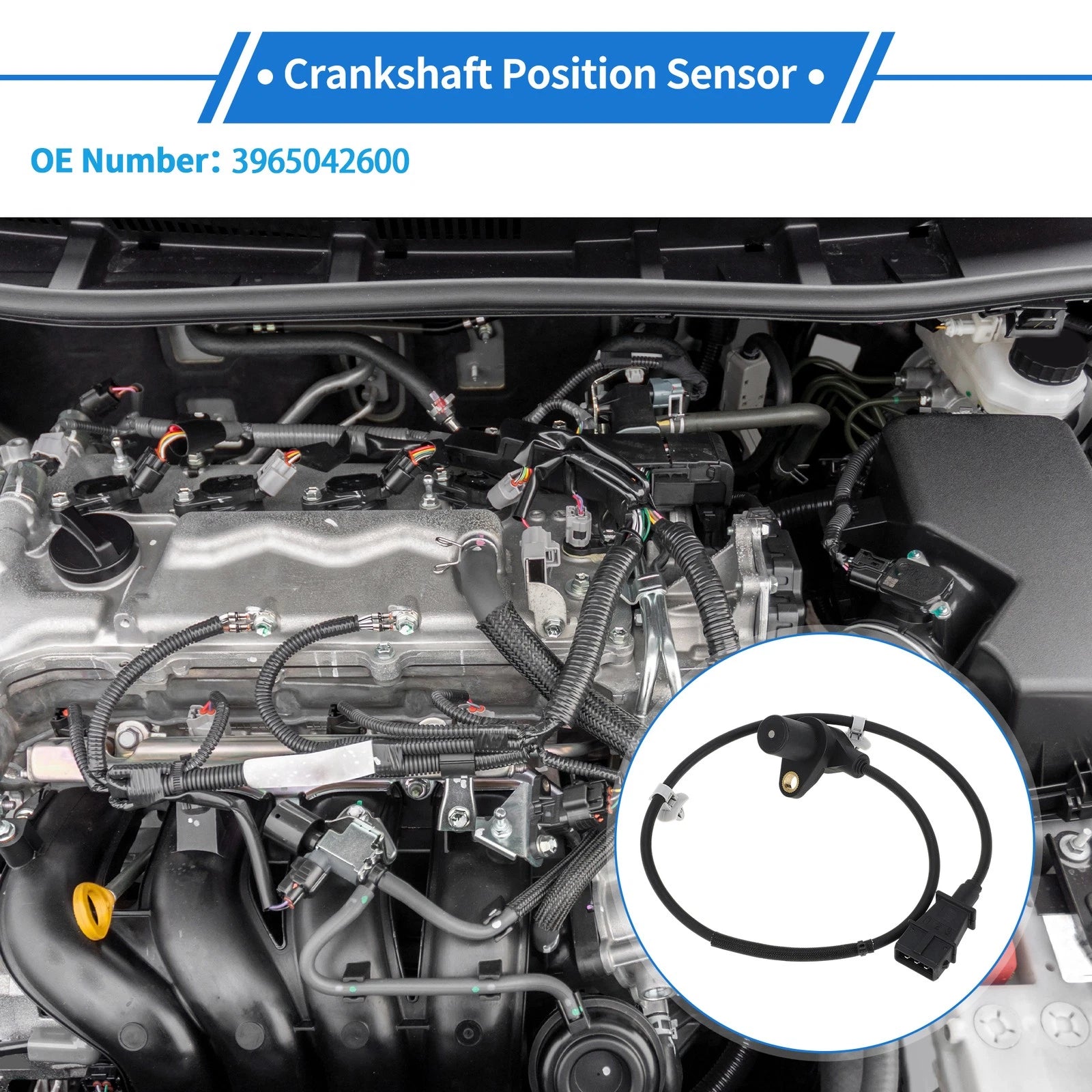 Crankshaft Position Sensor for KIA K2500 2003–2017 No. 3965042600 1 Pc