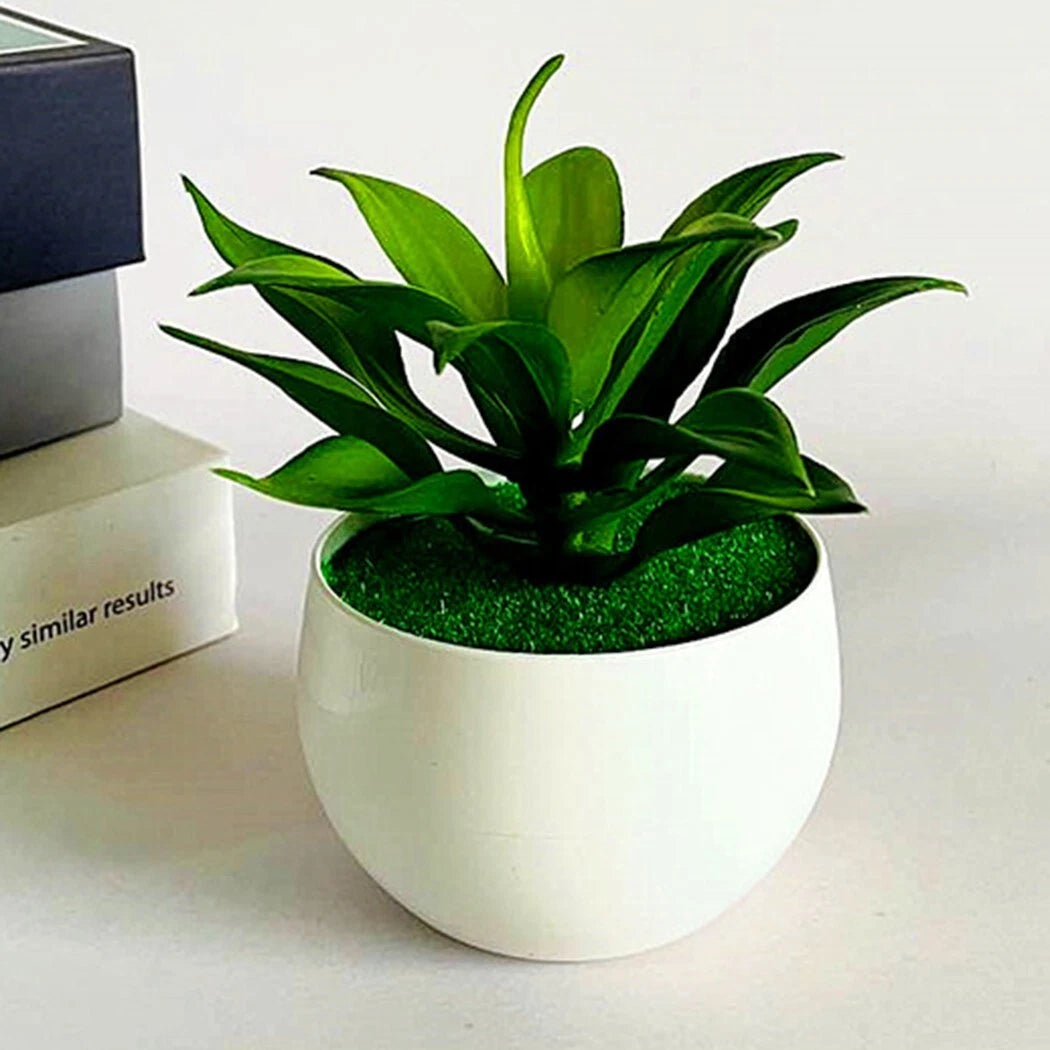 2X Potted Succulents for Home Decor (Artificial Plants in Pots)
