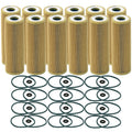 Set of 12 Engine Oil Filters for Ford Lincoln V6 Turbo