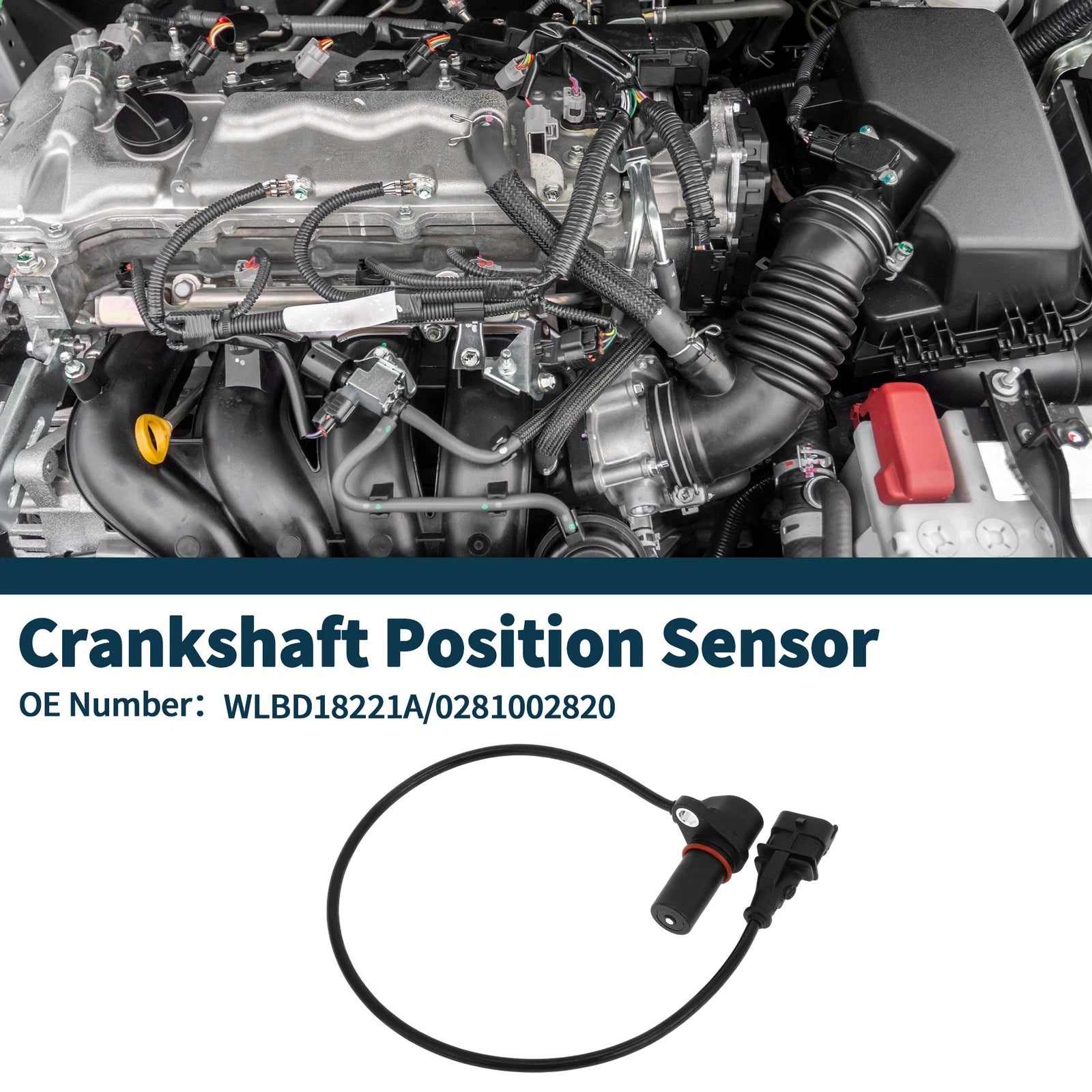 Crankshaft Position Sensor for Mazda BT-50 (2006–2013) No. 0281002820