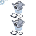 2 Pack Carburetor Kit for TB230 (2010–2015)