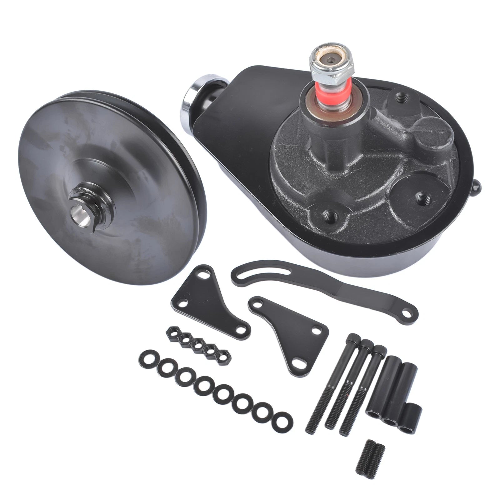 Power Steering Pump with Bracket & Pulley for Small Block Chevy Firebird