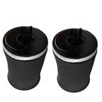 Set of 2 Rear Air Suspension Struts for BMW E53 X5 (2000–2006)