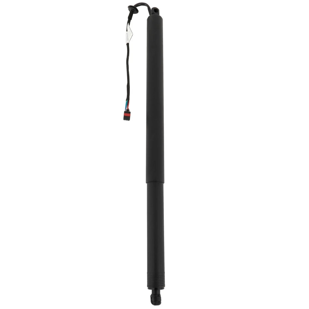 Rear Liftgate Strut Shock Gas for Range Rover Velar (2017–2022)