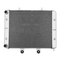 Radiator for Polaris Sportsman ACE 325, RZR 570, RZR 800 (2014–2019)