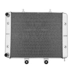 Radiator for Polaris Sportsman ACE 325, RZR 570, RZR 800 (2014–2019)
