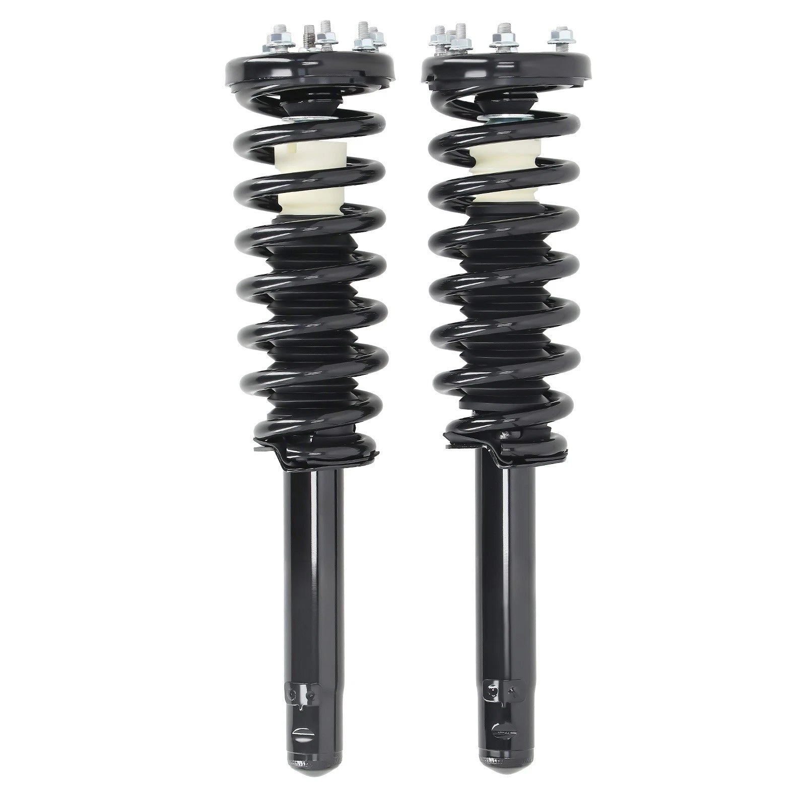 2X Front Struts w/Coil Spring Assembly for Acura TSX (2004–2008)