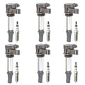 Set of 6 Ignition Coils & NGK Iridium Spark Plugs for CTS STS Rendezvous (V6)
