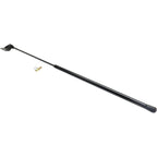 Liftgate Lift Supports for Chevy Metro (1998–2001)