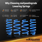 MaXpeedingrods Lowering Springs for Tesla Model 3 (2017–2024) AWD