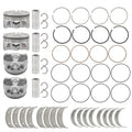 Set of 4 Piston Rings & Pistons for Hyundai Elantra (2014–2019)