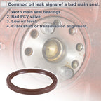 Rear Crankshaft Oil Seal for Toyota Alphard (2003–2014) No. 9031189005 NBR Rubber