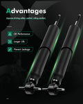 Front Shocks Struts for Ford Expedition F-150 Heritage F-250