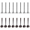 Set of 16 Intake & Exhaust Valves Kit for Kia Rio 1.6L L4 DOHC (2003–2005)