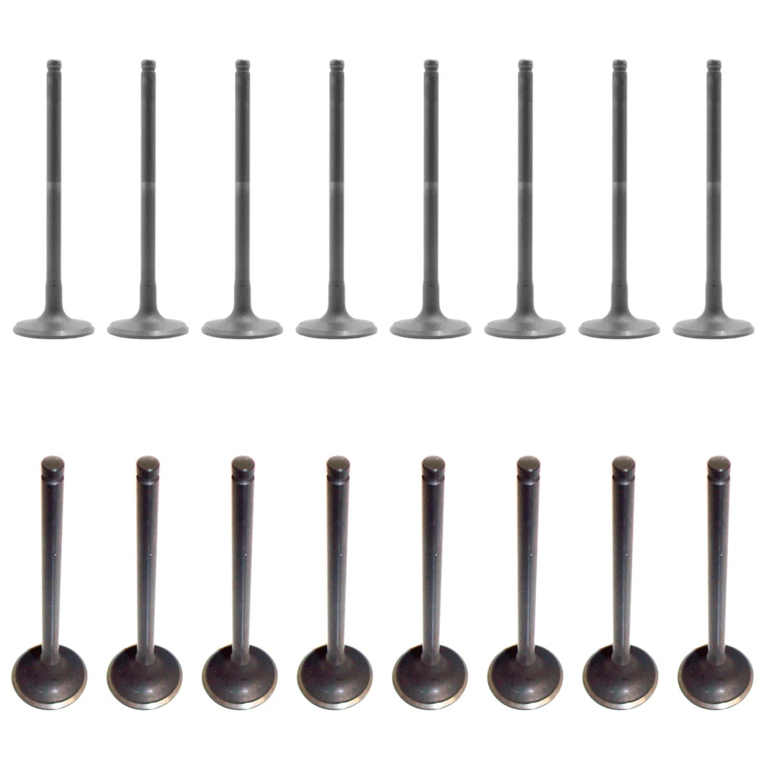Set of 16 Intake & Exhaust Valves Kit for Kia Rio 1.6L L4 DOHC (2003–2005)