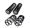 Coil Spring Kit for Buick Century, Pontiac LeMans, Oldsmobile Cutlass