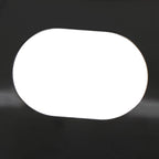 Front Brake Dust Shield for Ford Ranger Explorer Sport (2004-2011)