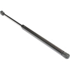 Set of 2 Lift Supports for Mini Cooper (2002–2008)