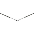 Set of 2 Liftgate Lift Supports for Honda Pilot (2003–2006)