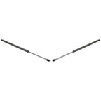 Set of 2 Liftgate Lift Supports for Honda Pilot (2003–2006)
