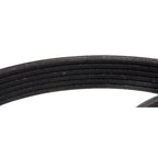 Drive Belt for Ford Ranger (1997–2011)