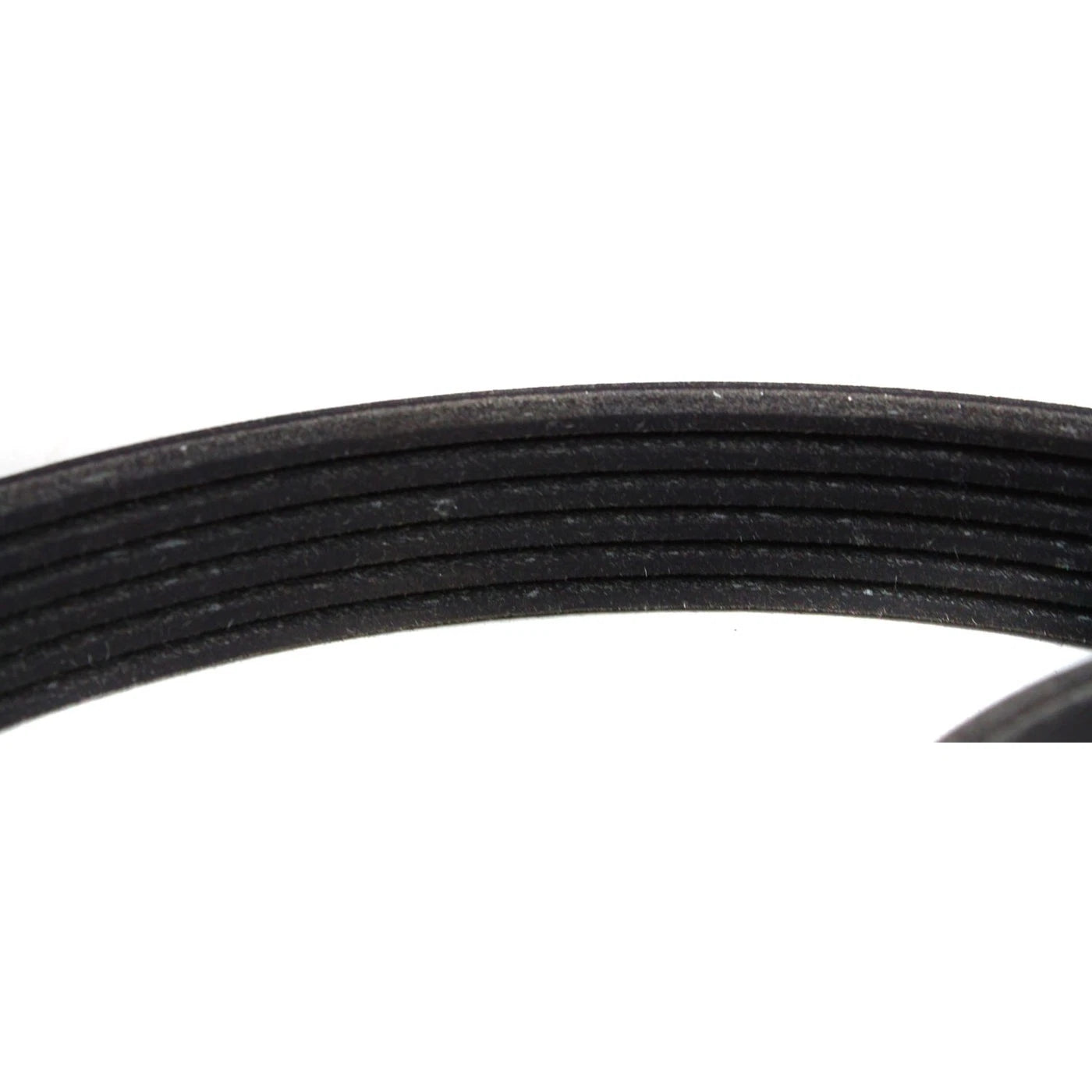 Drive Belt for Ford Ranger (1997–2011)