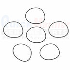 Set of 6 O Ring Cylinder Bore Seals for Mercury 200-300 HP EFI DFI (3.0L) 25-818573