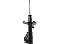 Front Right Strut Assembly for Mazda Protege5 (2002–2003) NS661FQ