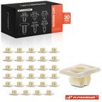 Set of 30 Fender Retainer Clips for Ford