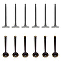 Set of 12 Intake & Exhaust Valves for Apollo Skylark C10 C20 C30 C25 L6