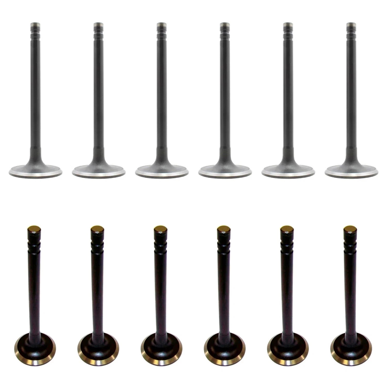 Set of 12 Intake & Exhaust Valves for Apollo Skylark C10 C20 C30 C25 L6