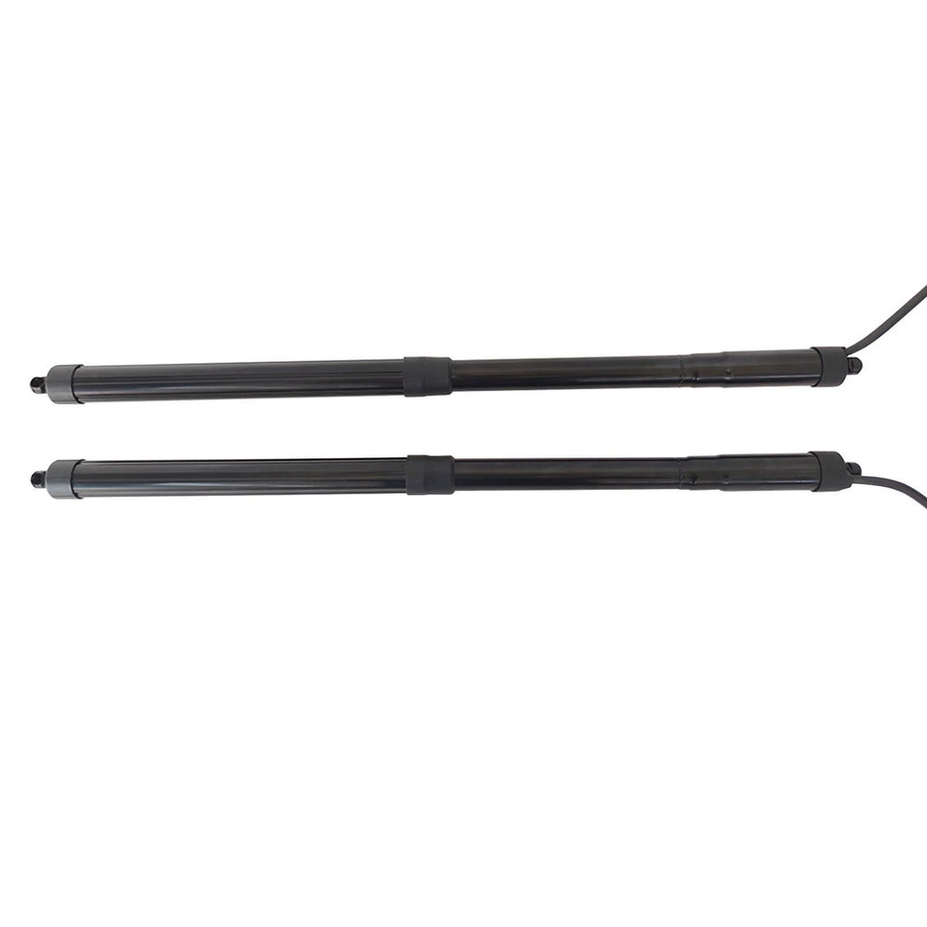 2X Rear Tailgate Lift Supports for Lexus RX350 (2016–2019)