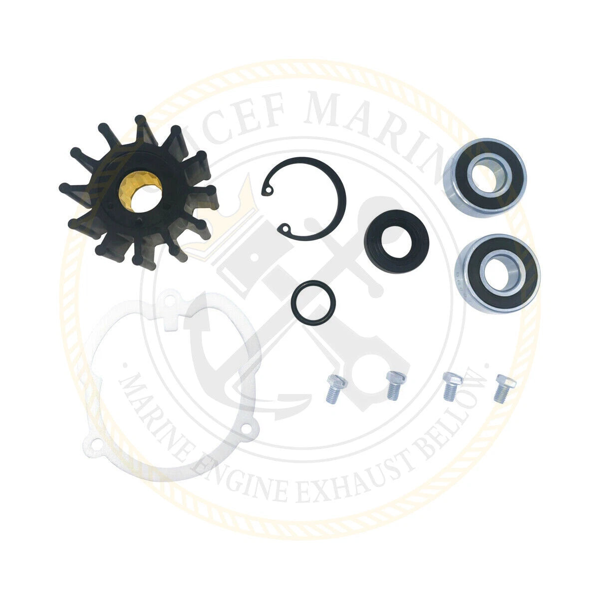 Repair Kit for Volvo (F5B-905, 10-13159, 3858847, 3857794)