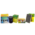 Set of 4 Mann Filters & 4 Denso Iridium Spark Plugs for Audi 1.8