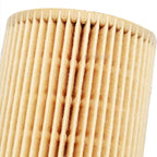 Oil Filter 501022S 18-8623 for Indmar 6.2L Inboard Ford Engines (2016–Present)