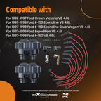 2X Coils & 8X Wires for Ford Explorer Mercury Mountaineer V8 5.0L (1996–2001)