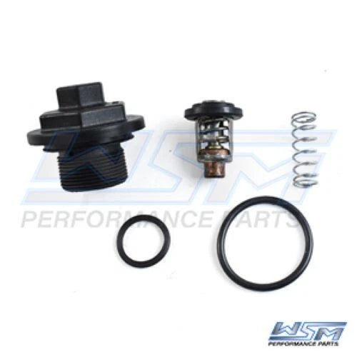 WSM Thermostat Kit for Johnson Evinrude 200-300 HP E-TEC/FFI (200-300) 780-170