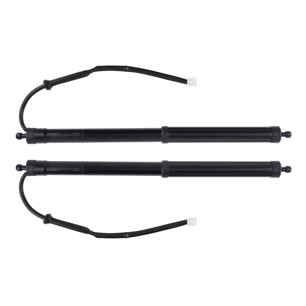 2X Rear Tailgate Lift Supports for Toyota RAV4 (2019-2022)