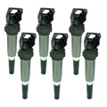 Set of 6 Ignition Coils for BMW E46 E83 E39 3-Series E36 Z3 E85 Z4 (2000–2006)