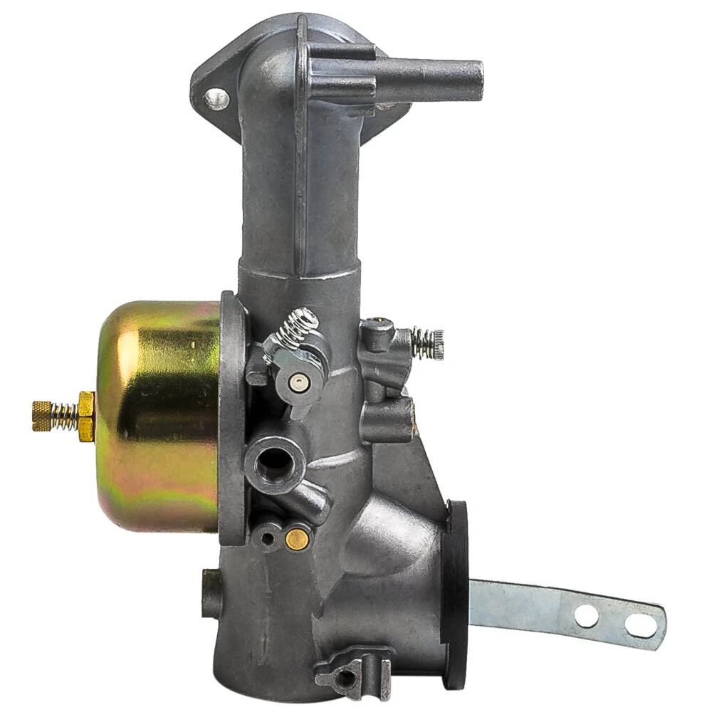 Carburetor for BS Lawn Mower (191700-192700)