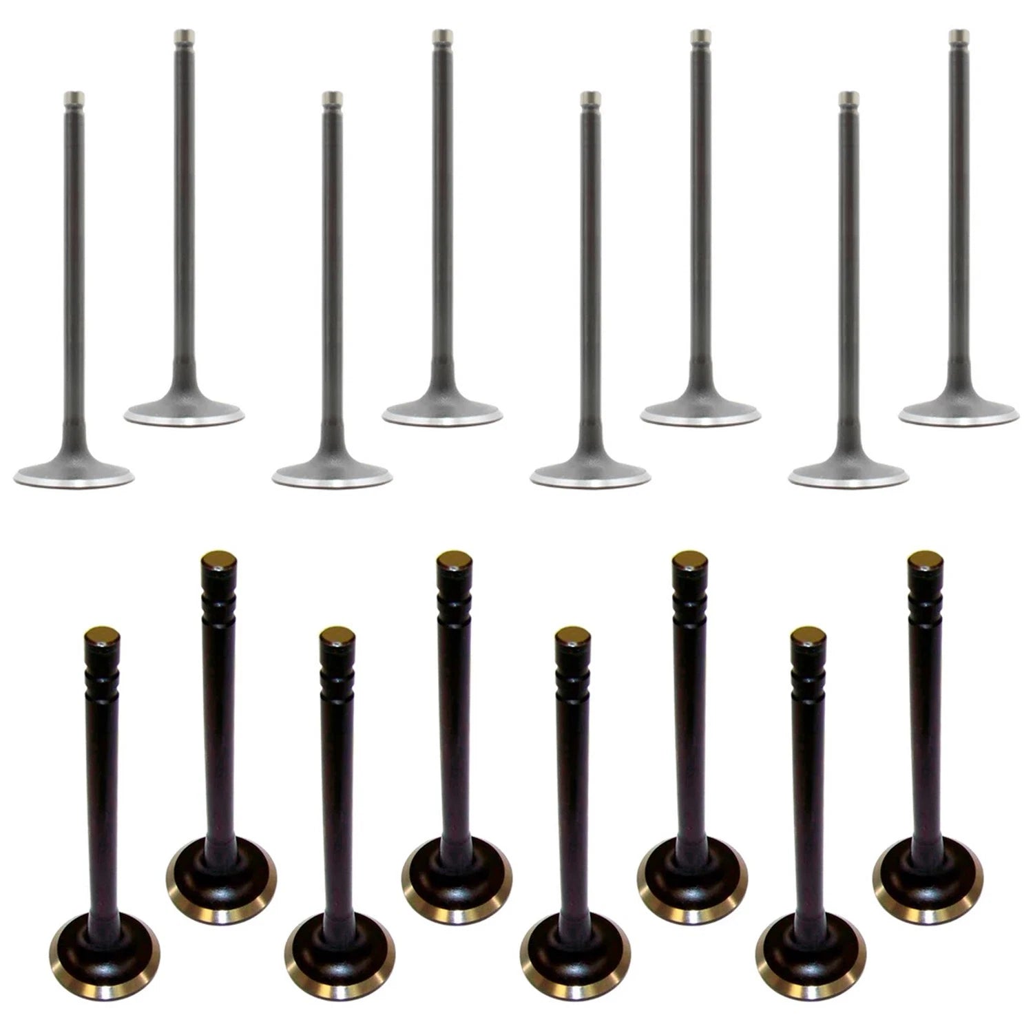 Set of 16 Intake & Exhaust Valves for Chevrolet C1500 C2500 Camaro Caprice V8