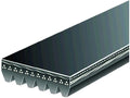 Accessory Drive Multi Rib Belt for Jaguar XJ (2016–2019) CX832VN
