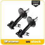 Front Pair Suspension Struts for Nissan Maxima (1995–1999)