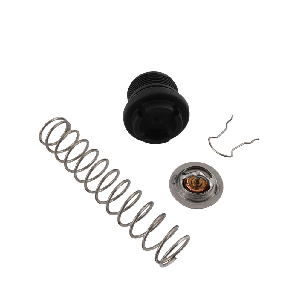 Thermal Regulator Kit for Pentair Sta-Rite Max-E-Therm (2007-2023)